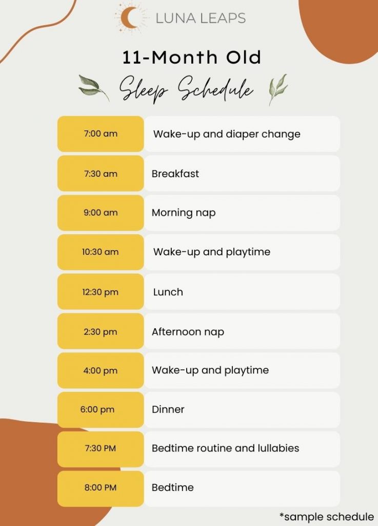 11 month old sleep schedule