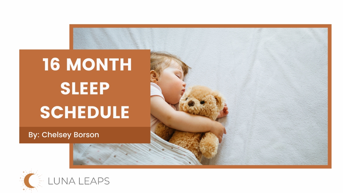 toddler in bed with 16 month old sleep schedule text overlay